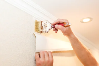 Pose de papier peint à Meyras — revêtements muraux et toiles de verre
